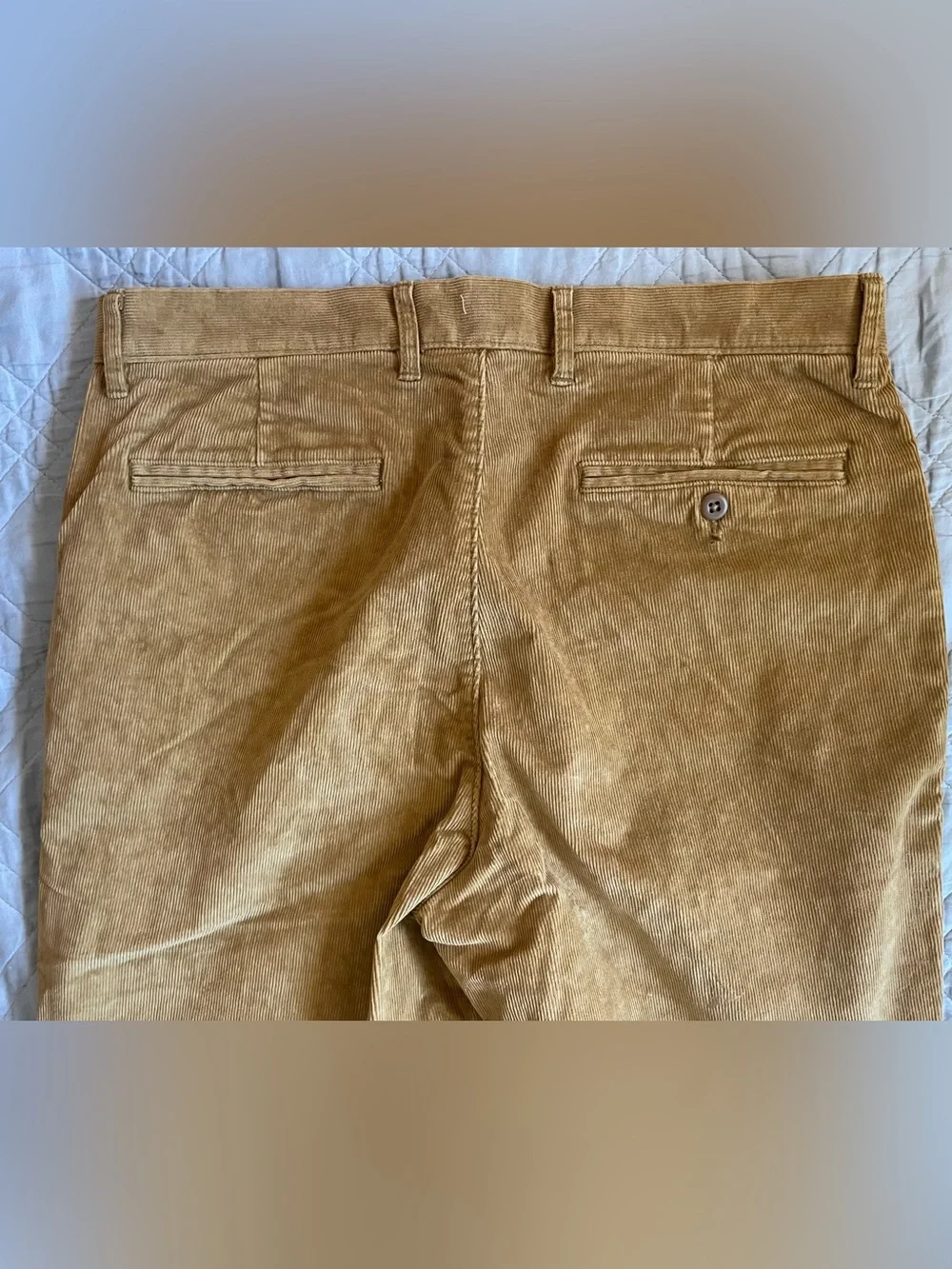 J. CREW Broken-in Straight pant in stretch corduroy in V. Goldenrod 32/32 CM717